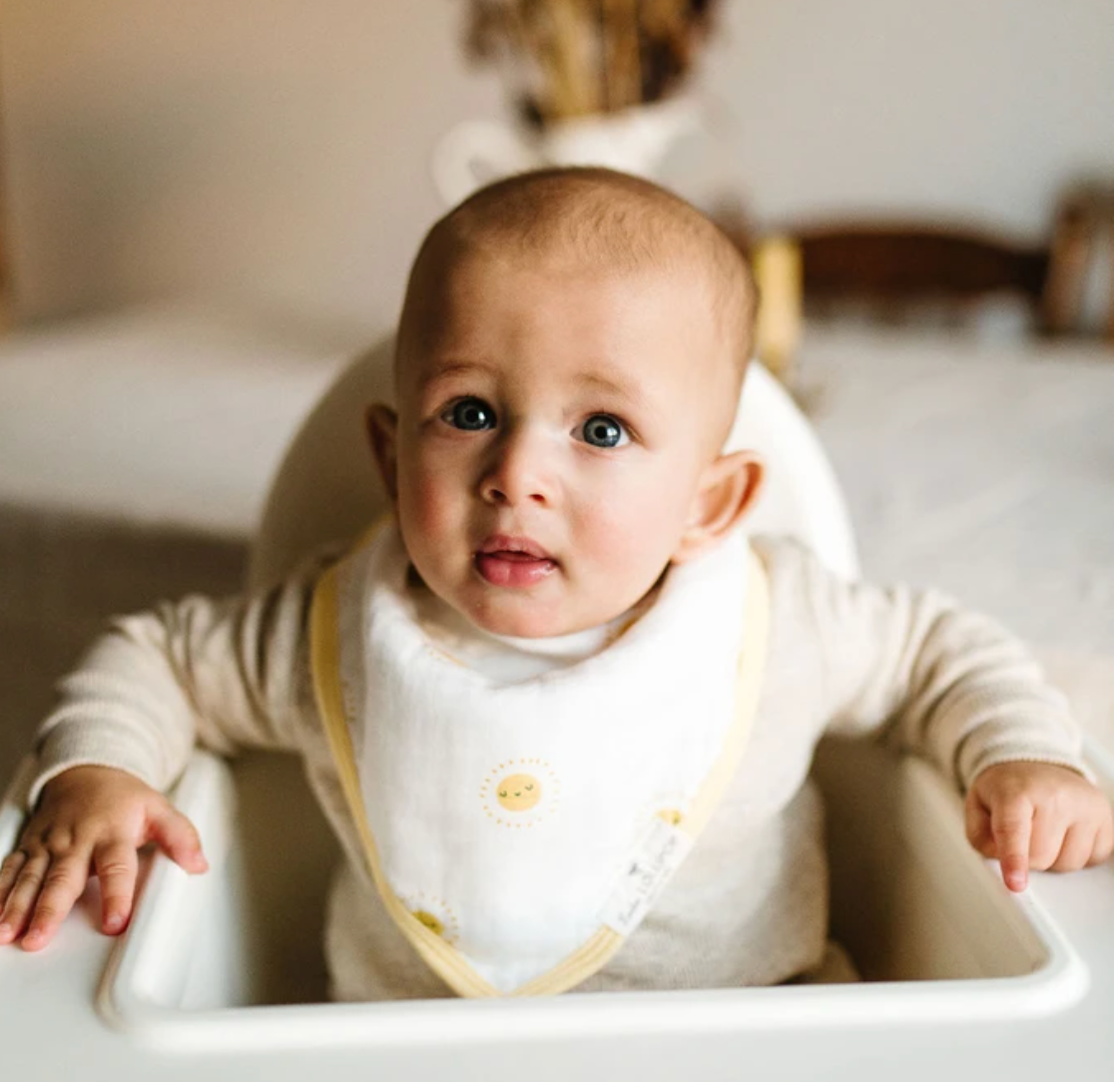 Loulou Lollipop Breakfast Blue Bibs